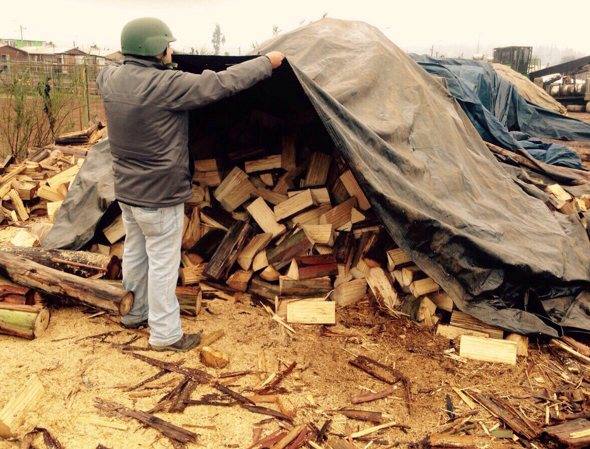 Más de 20 millones en madera roban sujetos desde predio de forestal Arauco en Curanilahue.