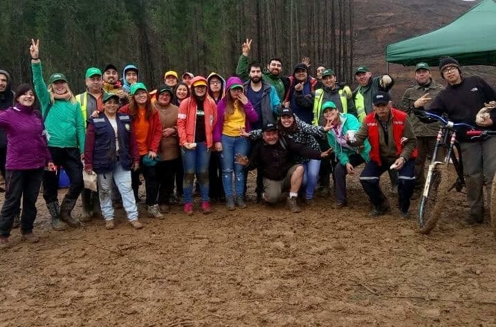 Más de 100 voluntarios, realizaron la plantación de 2000 árboles nativos para la restauración de La Cascada en Curanilahue.