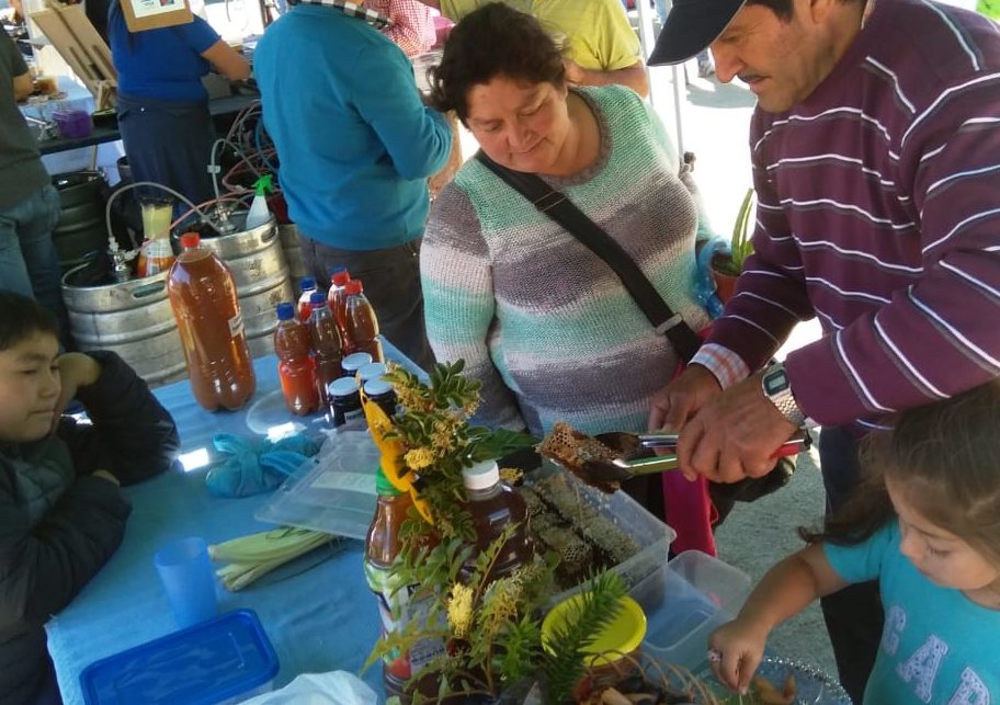 EXITOSA CUARTA VERSIÓN DE LA FIESTA DE LA MIEL EN CURANILAHUE