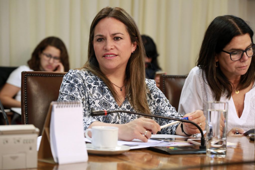 Diputada Pérez (DC), autora de vetado proyecto de servicios básicos: "El Gobierno defiende el abuso"