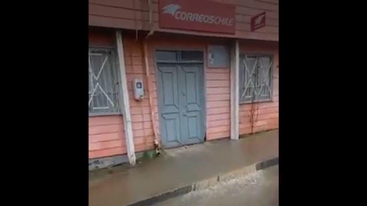 Curanilahue: Correos de Chile paralizó sus actividades debido a inundación de sucursal