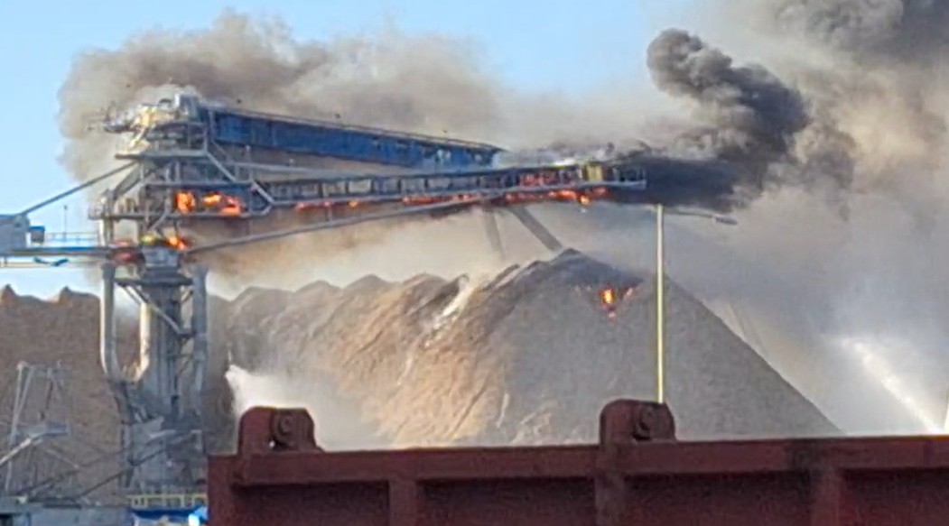 Incendio de proporción afecta a planta de celulosa arauco