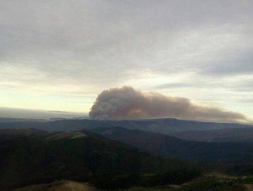  Más de 1.800 hectáreas quemadas por incendio sin control en Arauco. 
