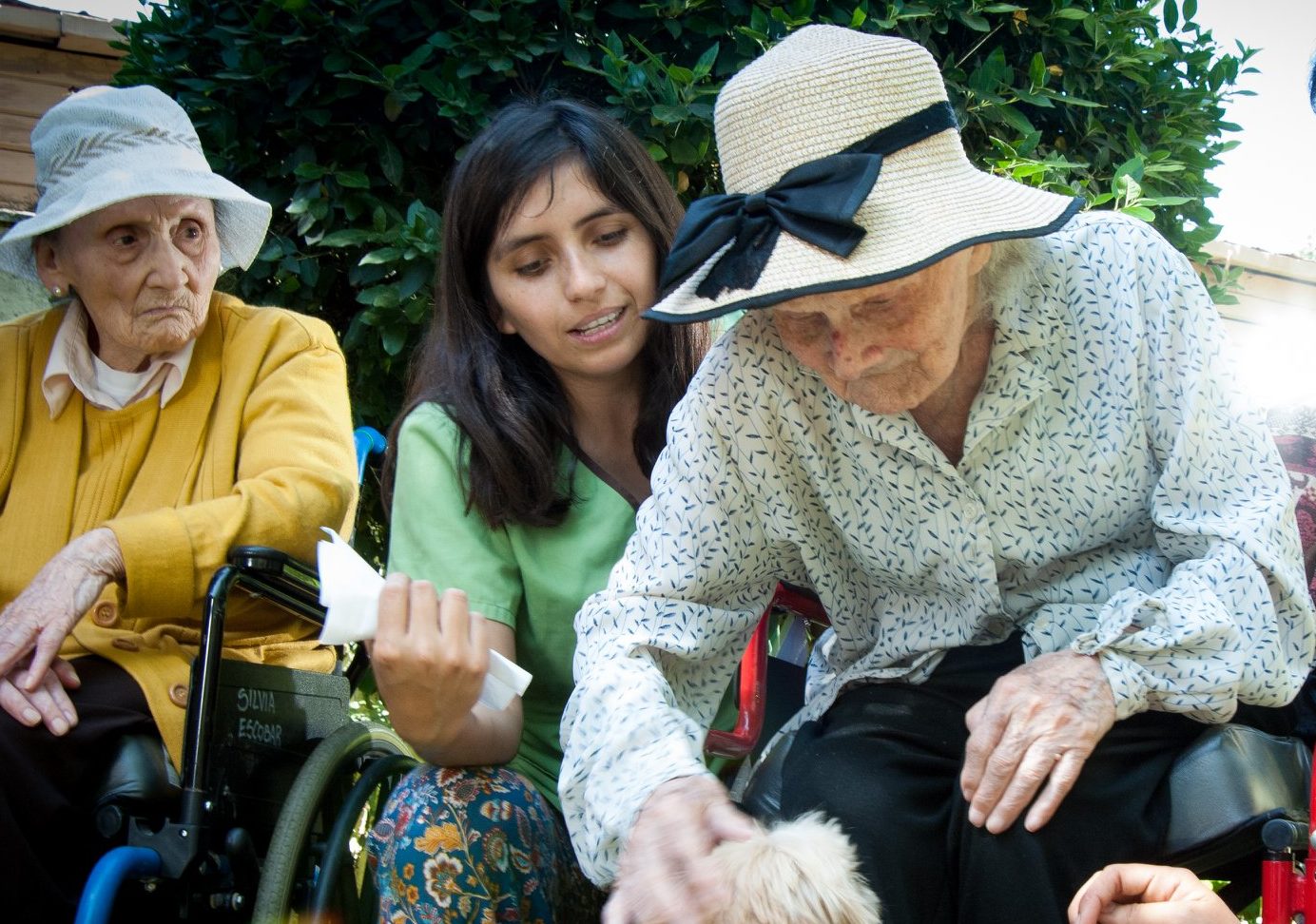 Con innovadoras terapias, Fundación Las Rosas busca  hacer frente al avance del Alzheimer.