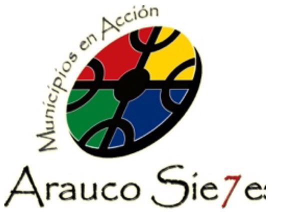 Alcalde de Curanilahue y Asociación Arauco 7 Solicitan al gobierno normas mas restrictivas para la Provincia de Arauco