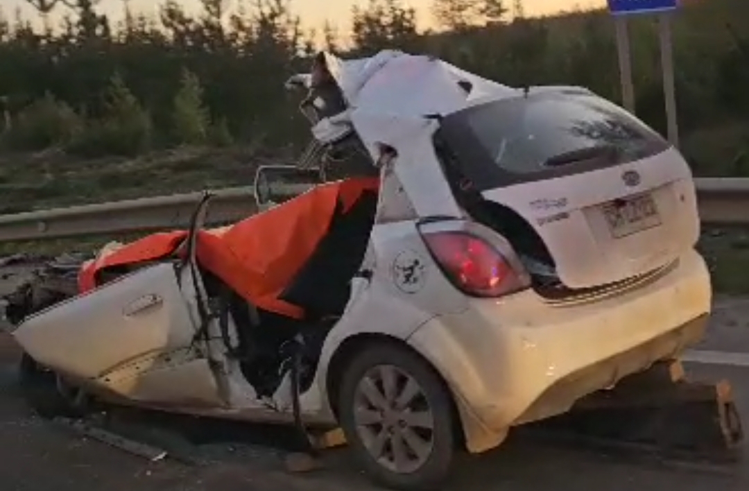 CURANILAHUE: Accidente de tránsito en ruta 160 cobra dos victimas fatales.