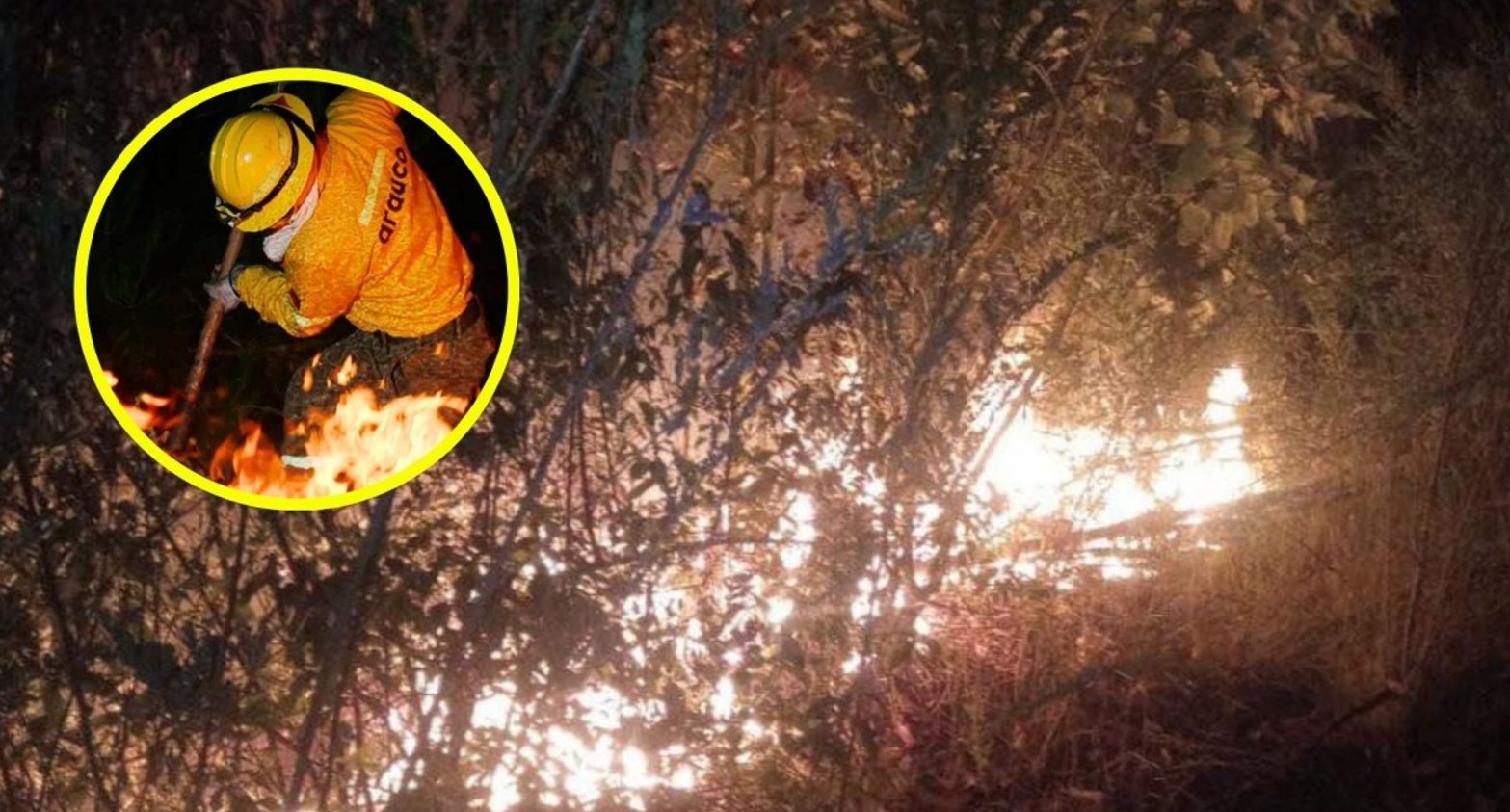 Curanilahue: El robo de madera sería el motivo de disparos a brigadistas en incendio forestal